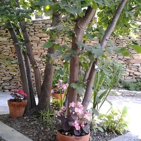 Σπίτι διακοπών La Veggia Pria Pieve di Teco