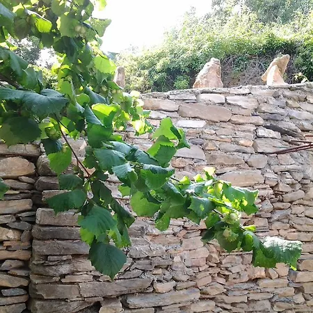 La Veggia Pria 度假居 Pieve di Teco